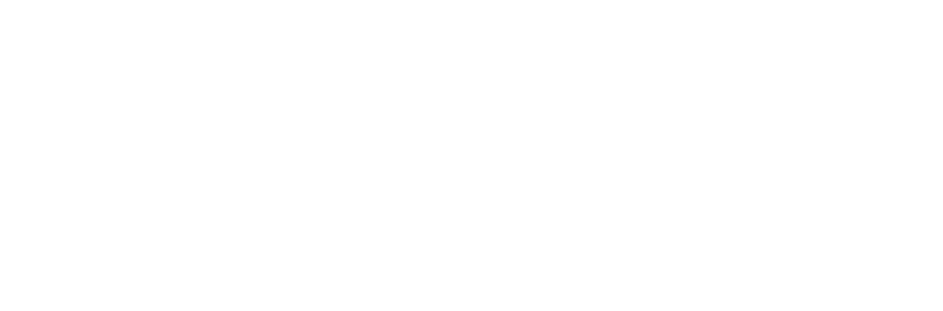 trevi-airlines-logo-h